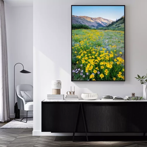 Visualisation du produit