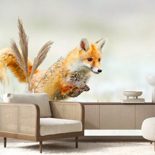 Papier peint  Renard roux sautant, Vulpes vulpes, scène de la faune de l'Europe. Manteau en fourrure orange chassant des animaux dans l'habitat naturel. Le renard saute sur le pré de la forêt verte avec la première