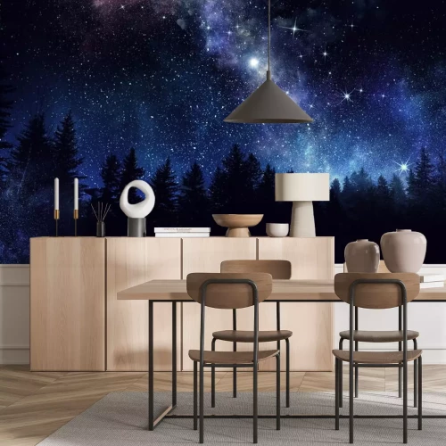 Sticker  Ciel étoilé au-dessus d'une forêt