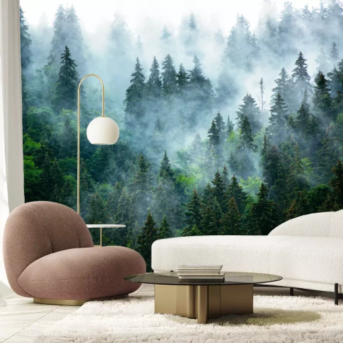 Papier peint  Paysage de montagne brumeuse