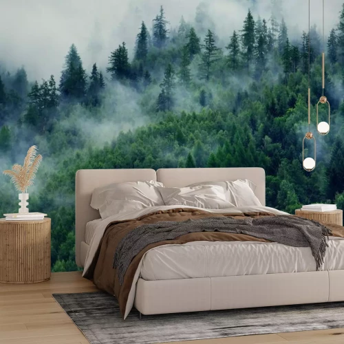 Papier peint  Paysage brumeux avec forêt de sapins. Brouillard du matin dans les montagnes. Beau paysage avec vue sur la montagne et le brouillard du matin.