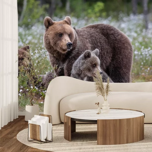 Papier peint  Ours dans une prairie fleurie