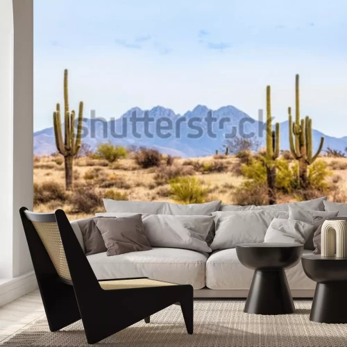 Papier peint  Désert de l'Arizona et cactus