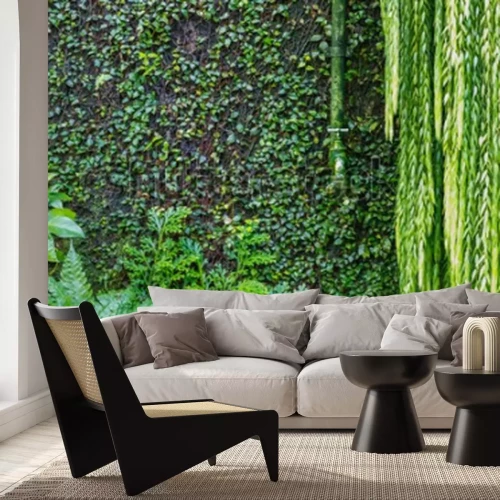 Papier peint  Mur et lierre dans un parc