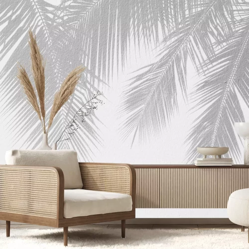 Papier peint  Ombres de feuilles de palmier sur un mur blanc