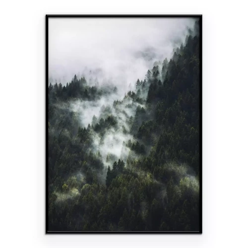 Poster  Une vallée brumeuse surplombant un paysage forestier