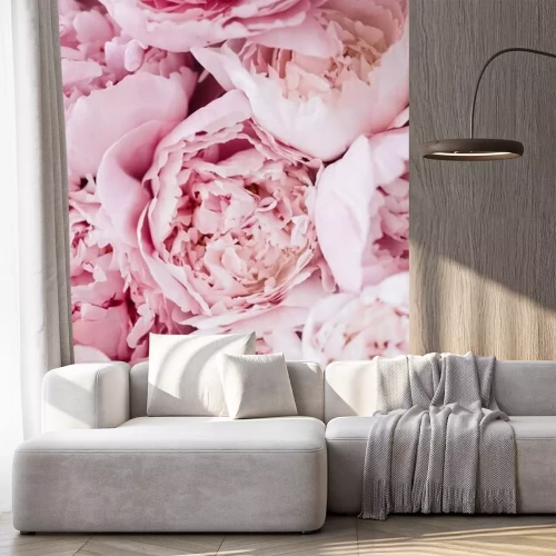 Papier peint  Gros plan de pivoines