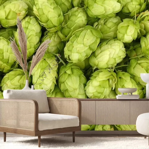 Papier peint  Houblon vert frais