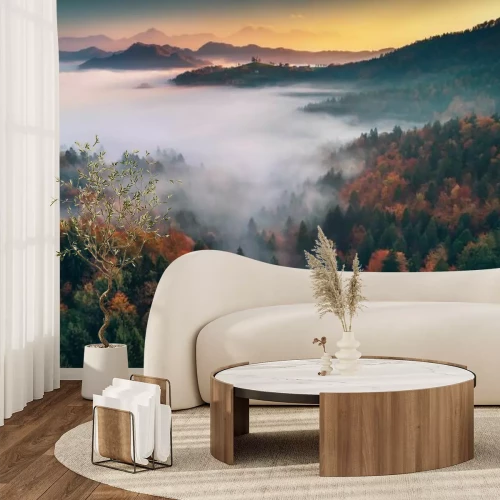 Papier peint  Paysage d'automne forêt du matin dans la brume