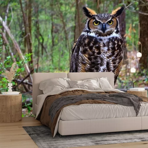 Papier peint  Grand-duc d'Amérique se tenant sur un tronc d'arbre