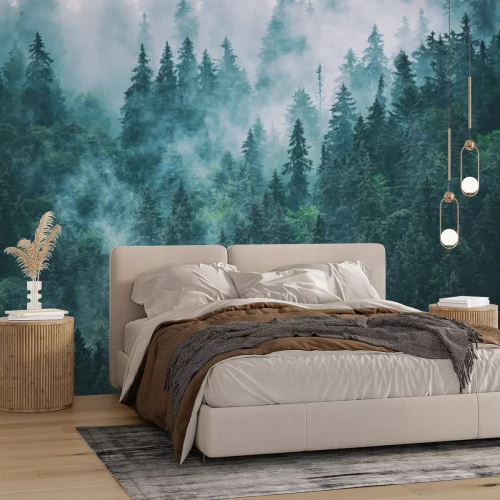 Papier peint  Brume et nuages de la forêt