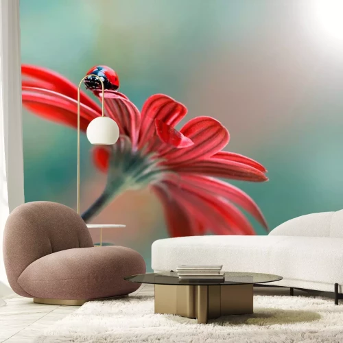 Sticker  Coccinelle sur une fleur rouge