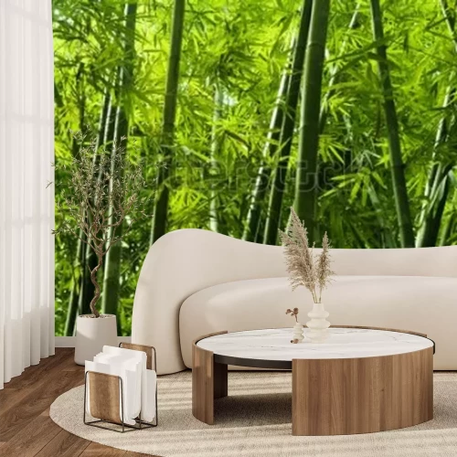 Papier peint  Forêt tropicale de bambous
