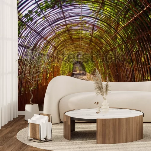 Papier peint  Parc plein de bambous