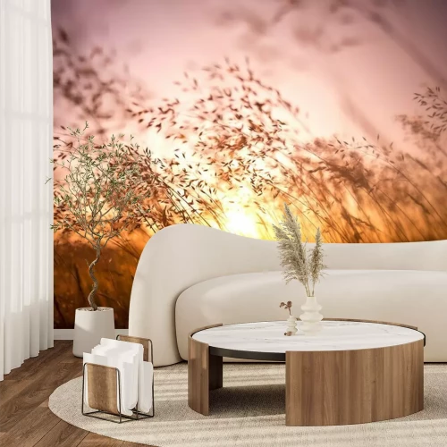 Papier peint  La nature est belle