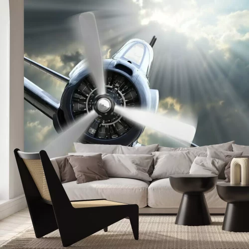 Papier peint  Un avion de chasse en plein soleil