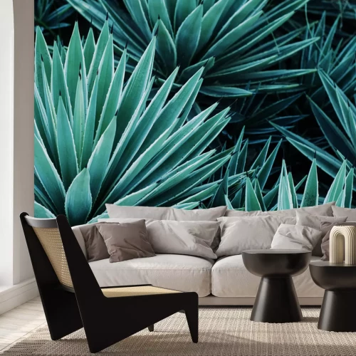 Papier peint  Plante tropicale verte d'agave