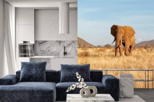 Visualisation du produit