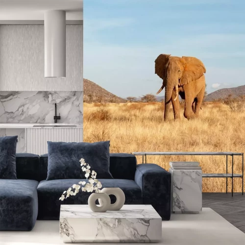 Papier peint  Eléphant africain safari