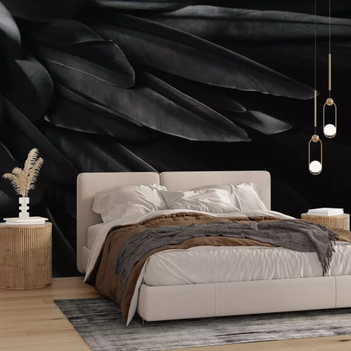 Papier peint  Plumes d'oiseaux noirs