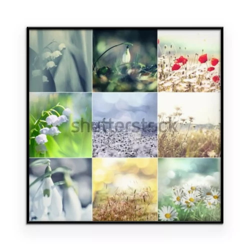 Visualisation du produit