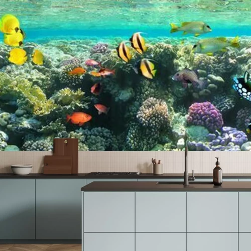 Papier peint  Panorama 3D d'un récif corallien