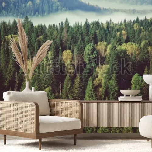 Sticker  épais brouillard recouvert d'épaisse forêt de conifères.