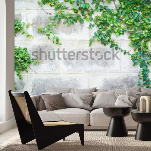 Papier peint  Mur et lierre dans un jardin