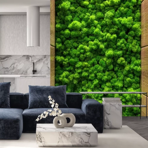 Papier peint  Mousse verte décorative