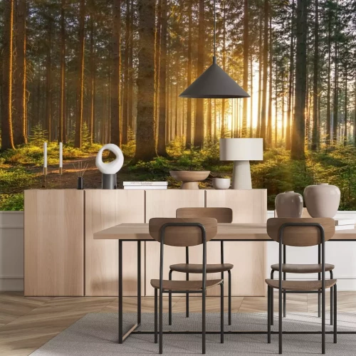 Papier peint  Forêt silencieuse au printemps avec de beaux rayons de soleil