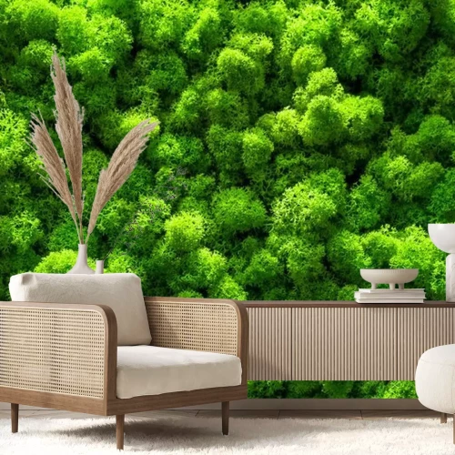 Papier peint  Mousse verte en gros plan