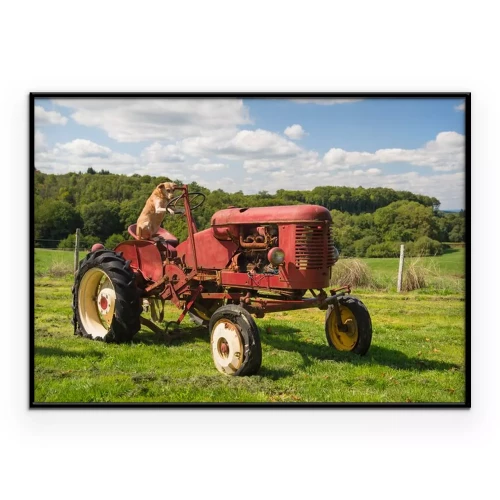 Visualisation du produit