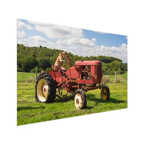 Visualisation du produit