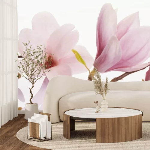 Papier peint  Magnolias subtils sur une brindille