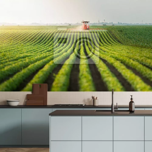 Papier peint  Tracteur sur un champ vert paysage rural