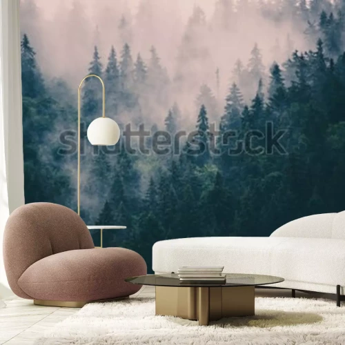 Papier peint  Forêt de conifères de montagne