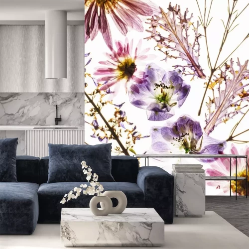 Sticker  Fleurs des champs sèches de sur fond blanc