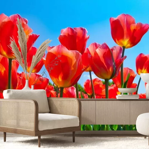 Papier peint  Motif fleurs rouges