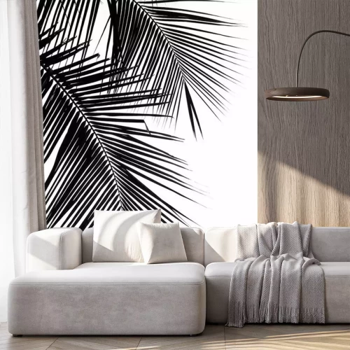 Papier peint  Silhouette d'une feuille tropicale