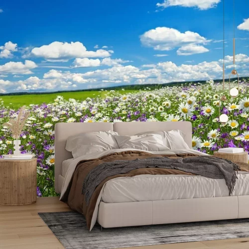 Papier peint  Prairie de printemps en 3D