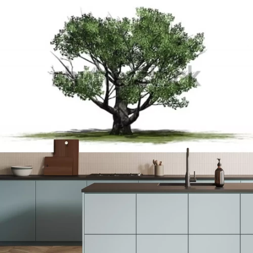 Sticker  Chêne blanc - isolé sur fond blanc