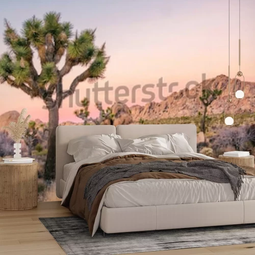 Papier peint  Paysage continent sec