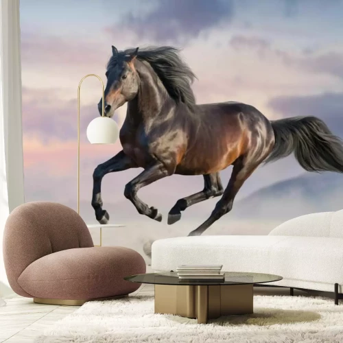 Papier peint  Cheval noir au galop Dans le désert avec un arrière-plan flou