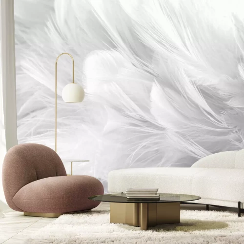 Papier peint  Texture de plumes blanches