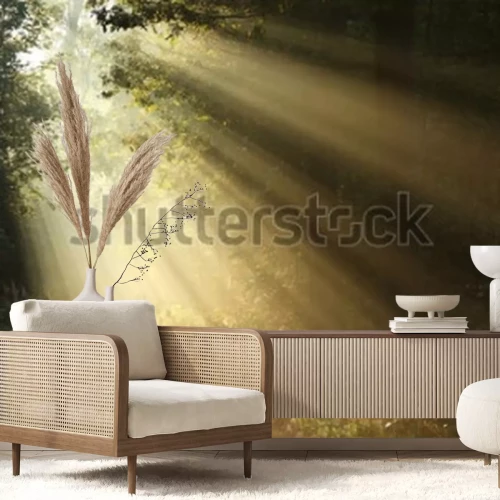 Papier peint  Lever de soleil dans une forêt verte