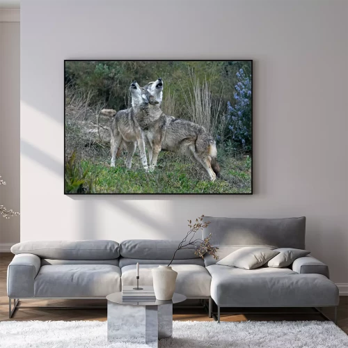 Visualisation du produit