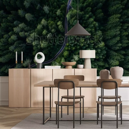 Papier peint  Route traversant la forêt