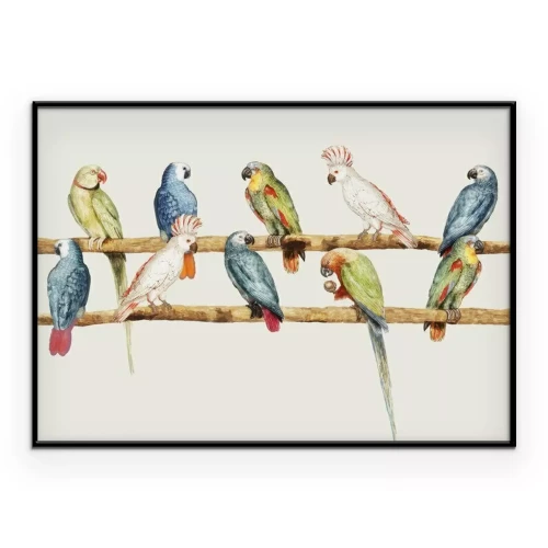 Poster  Perroquets réalistes sur bâtonnets