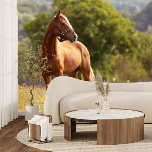 Papier peint  Cheval brun debout dans la prairie