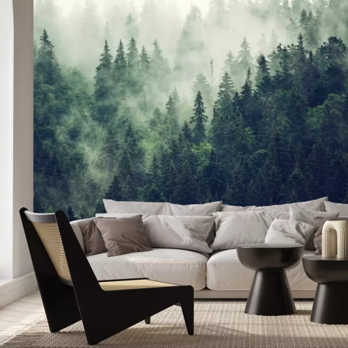 Papier peint  Misty mountain landscape